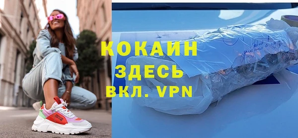 ГАЛЛЮЦИНОГЕННЫЕ ГРИБЫ Дмитриев