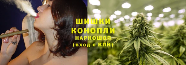 индика Горно-Алтайск