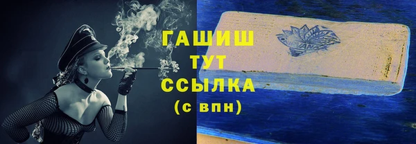индика Горно-Алтайск