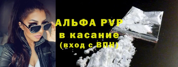 ГАЛЛЮЦИНОГЕННЫЕ ГРИБЫ Дмитриев