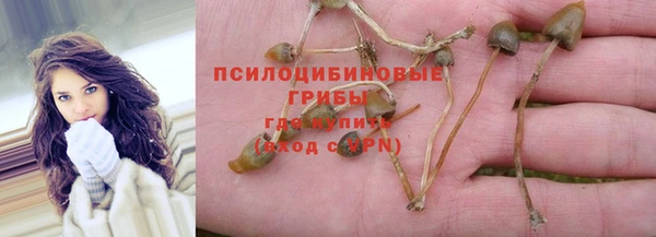 ECSTASY Гусев