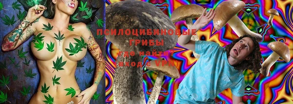 индика Горно-Алтайск