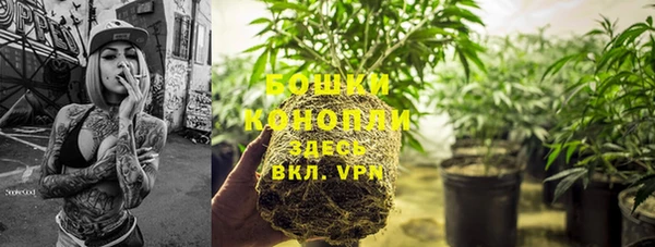 ГАЛЛЮЦИНОГЕННЫЕ ГРИБЫ Дмитриев
