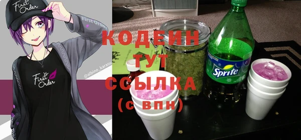 индика Горно-Алтайск