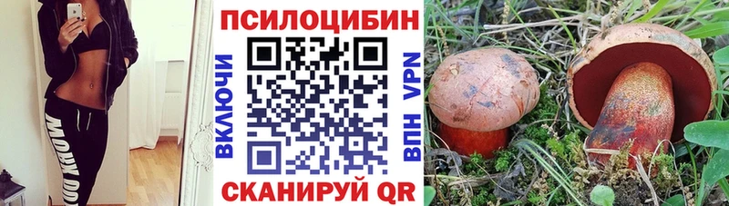 Галлюциногенные грибы Psilocybine cubensis  кракен сайт  Златоуст  цены наркотик 